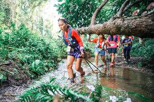 BIB: 
                            <button type="button" onclick="openModal(25515385)" class="btn btn-primary btn-sm float-right btn-popup" data-toggle="modal" data-target=".modal-high-quality">
                        <i class="fas fa-shopping-cart"></i> Add to Cart
                    </button>
                                            <button type="button" onclick="isThisMe(25515385, true)" class="btn btn-success btn-sm float-right btn-popup btn-isme hidden" data-toggle="tooltip" data-placement="bottom" title="นี่คือรูปของคุณใช่ไหม คลิกที่นี่เพื่อเอาเข้าอัลบั้ม">
                        <i class="fas fa-plus"></i> Add to album
                    </button>
                    <button type="button" onclick="isThisMe(25515385, false)" class="btn btn-warning btn-sm float-right btn-popup btn-isnotme hidden">
                        <i class="fas fa-ban"></i> Remove from album
                    </button>